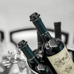 Wine Saver Vacuum Pump Set